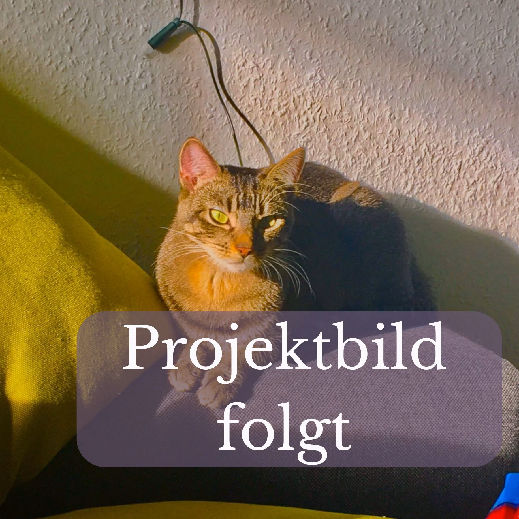 Projektbild-folgt_4 Platzhalterbild Projekt folgt