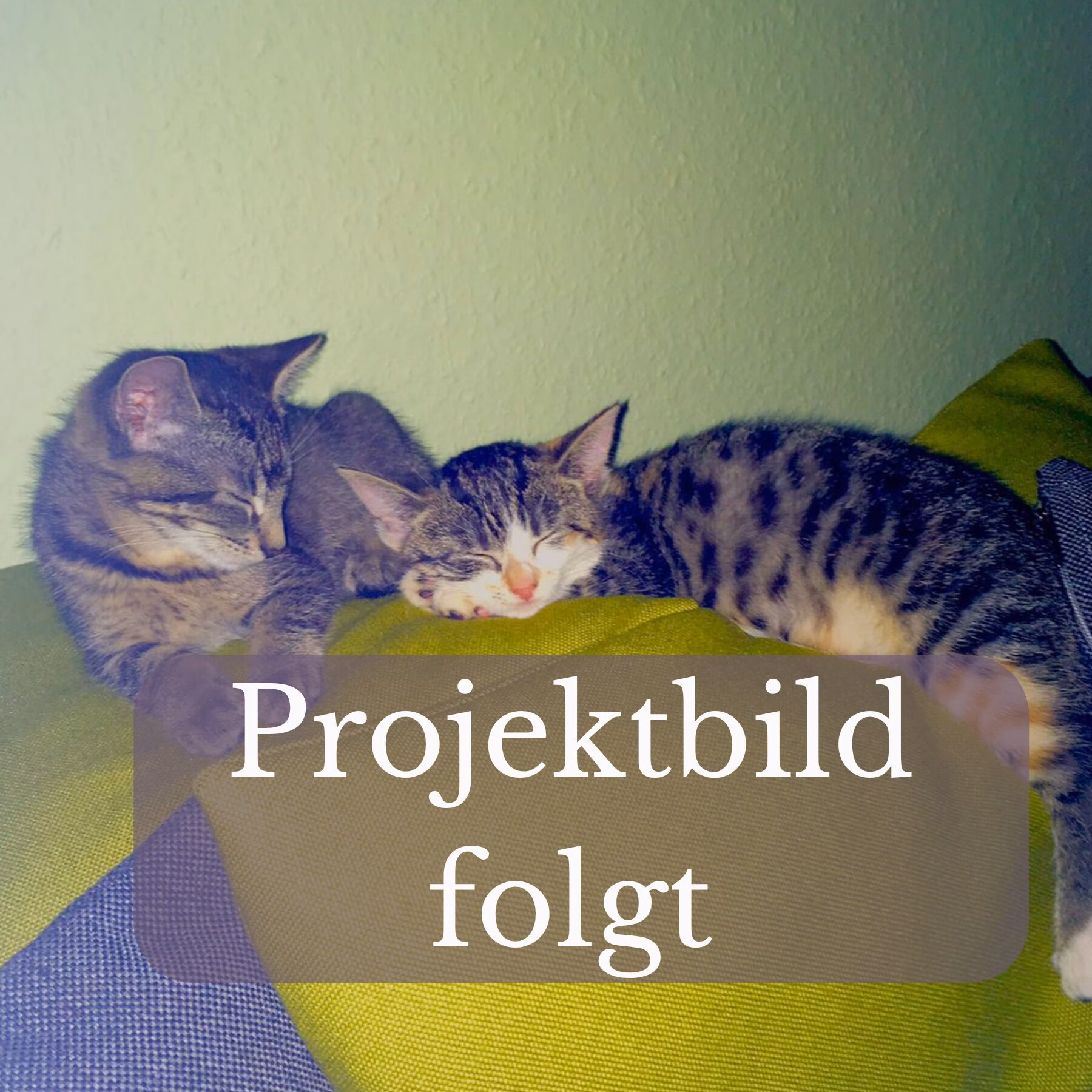 Platzhalterbild Projekt folgt