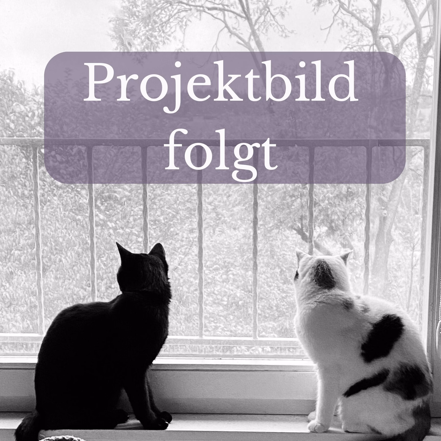 Projektbild-folgt_8 Platzhalterbild Projekt folgt